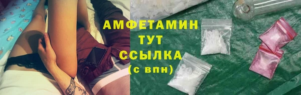 прущие грибы Абаза