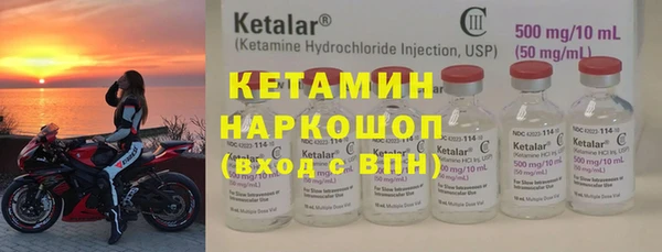 прущие грибы Абаза