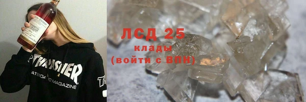 прущие грибы Абаза