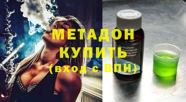 прущие грибы Абаза