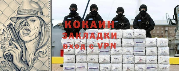 прущие грибы Абаза
